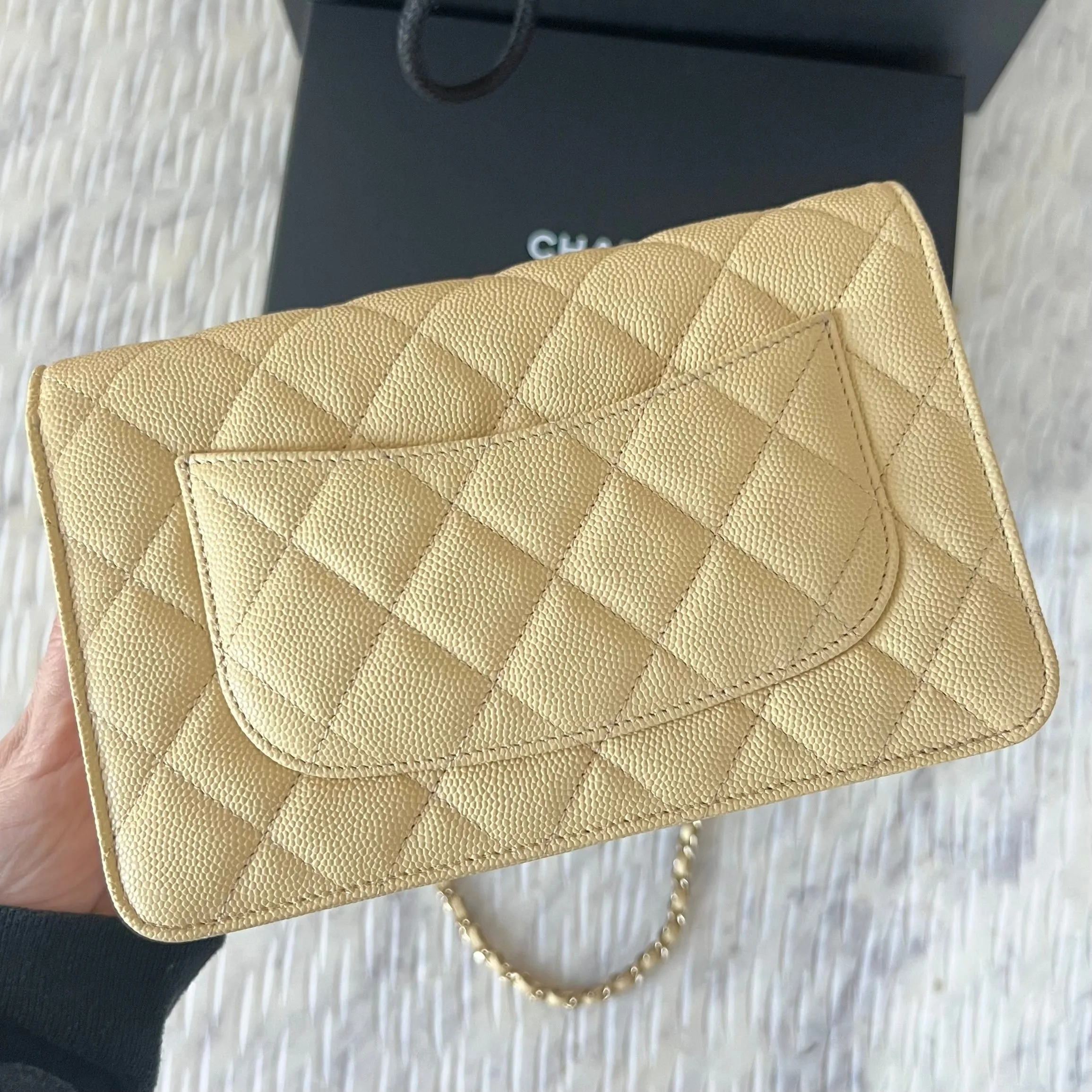 Chanel Wallet On Chain Bag