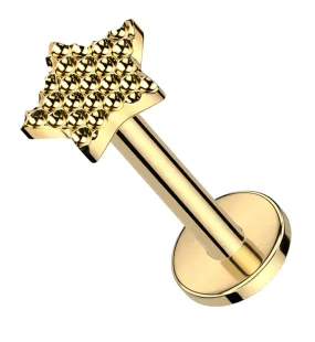 Gold PVD Beaded Star Internally Threaded Titanium Labret