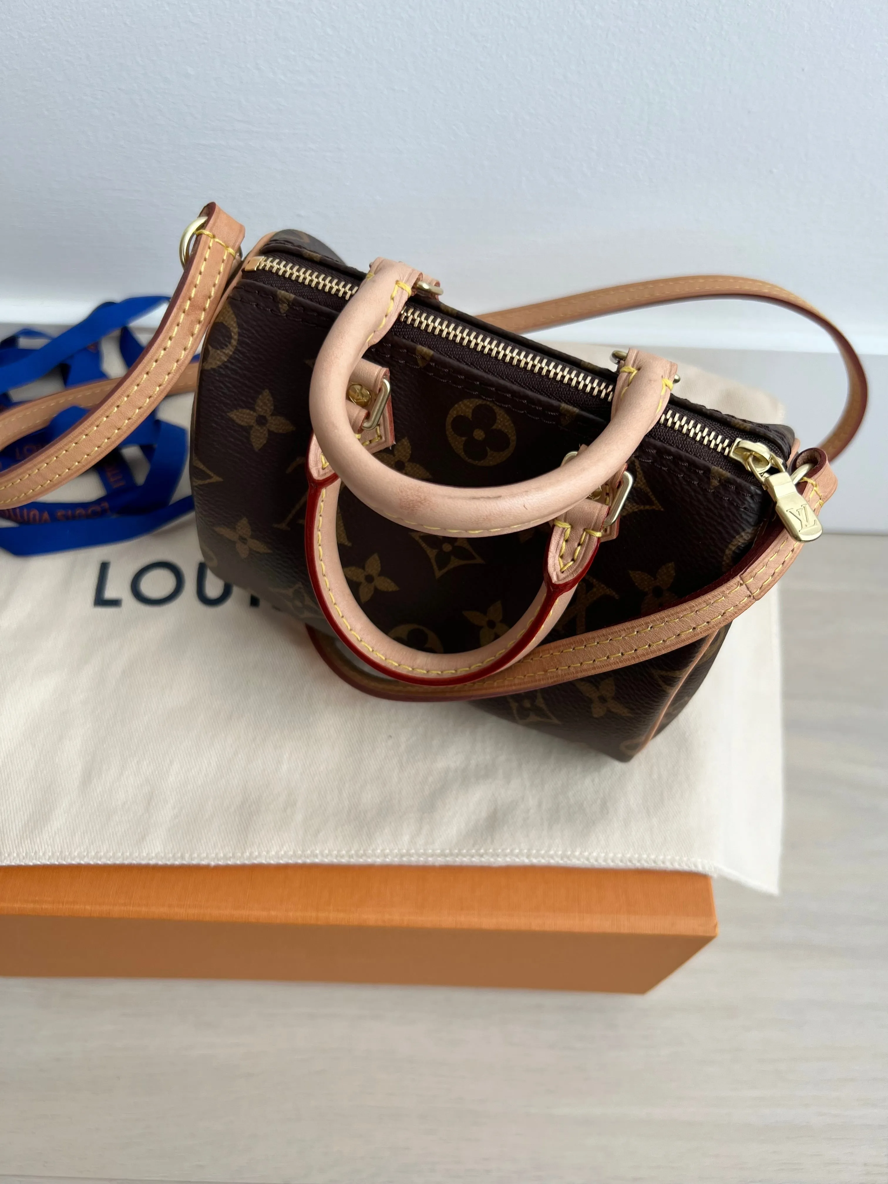 Louis Vuitton Speedy Nano Bag