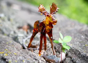 Memorial Moose with Cremains