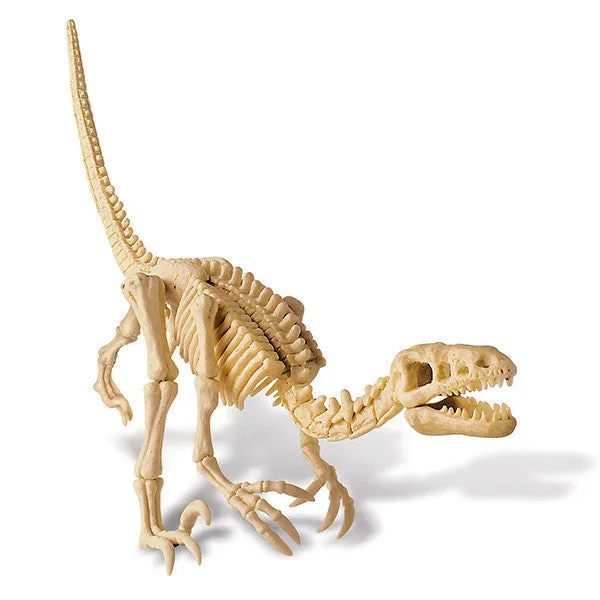 "Dig A Dinosaur Skeleton: Velociraptor" - Science Kit