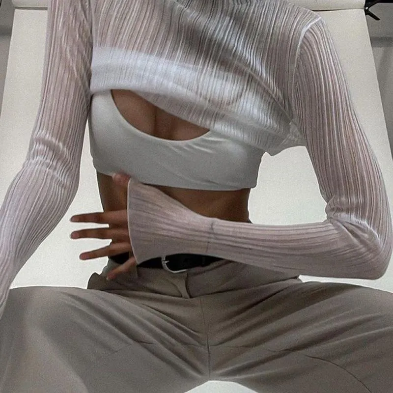 See Thru Pleated Rib Flare Long Sleeve Mesh Sheer Top