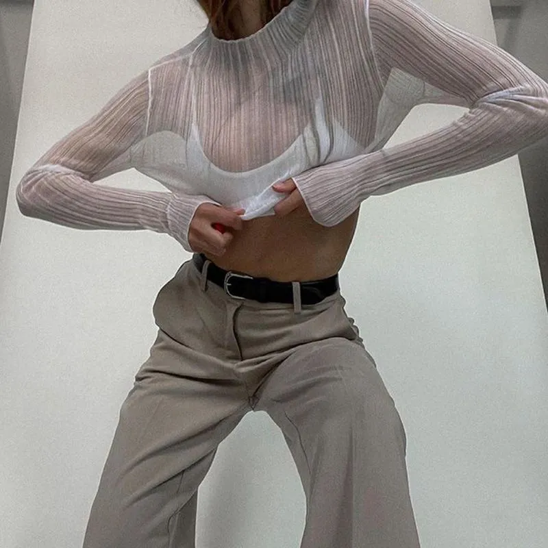 See Thru Pleated Rib Flare Long Sleeve Mesh Sheer Top