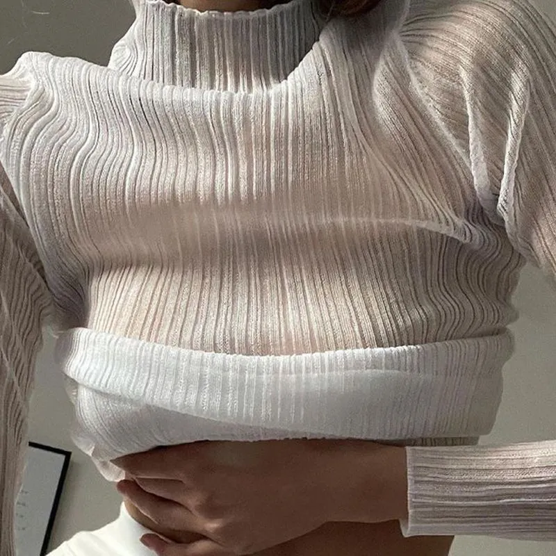 See Thru Pleated Rib Flare Long Sleeve Mesh Sheer Top