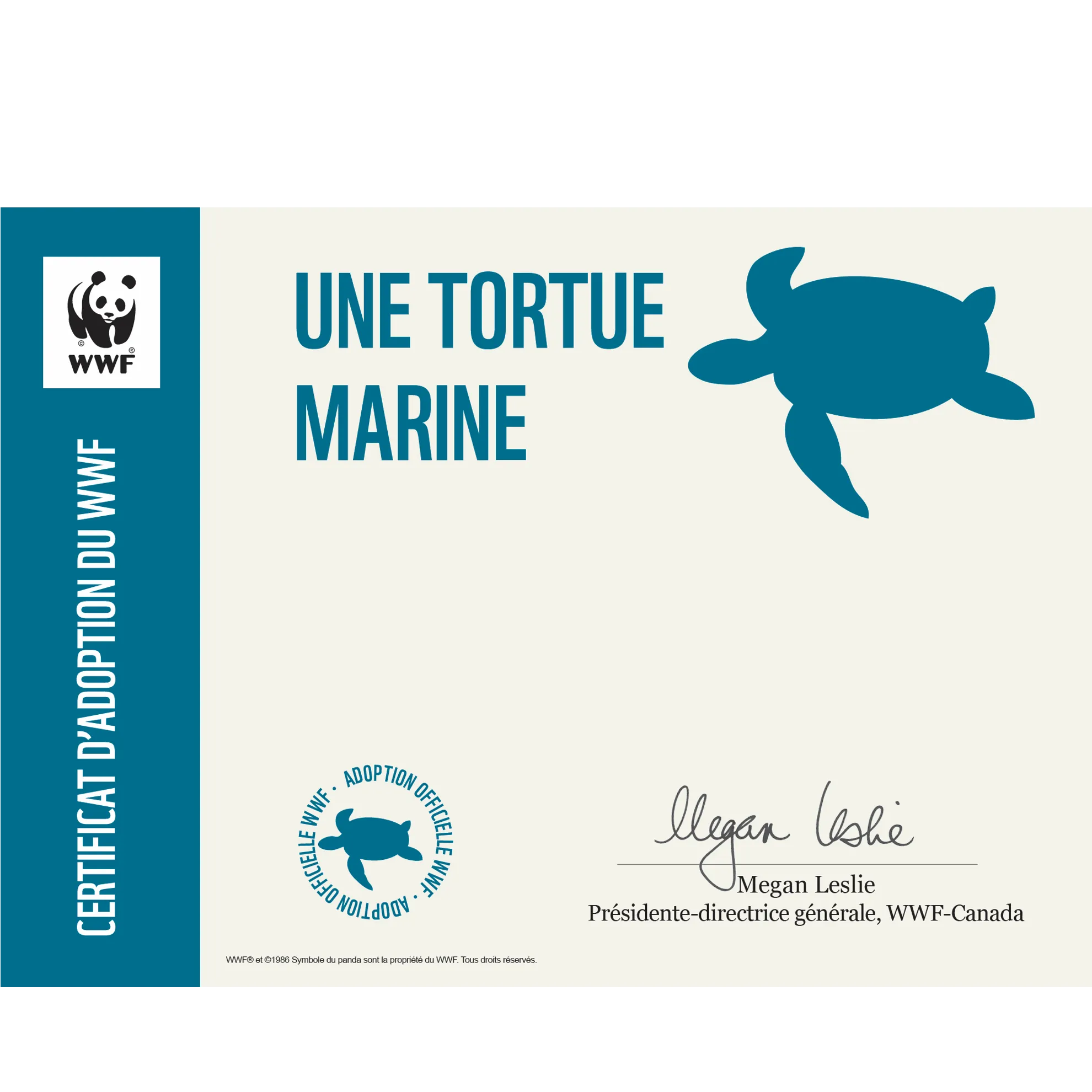 Tortue marine